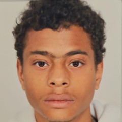 Danyemir Martines