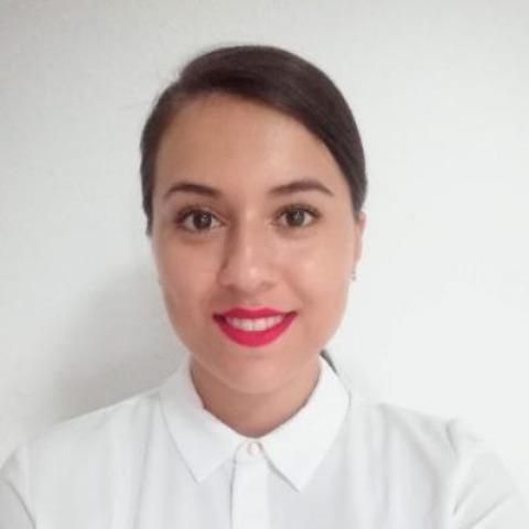 Diana Constantin